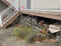 Some examples of random items around the yard.