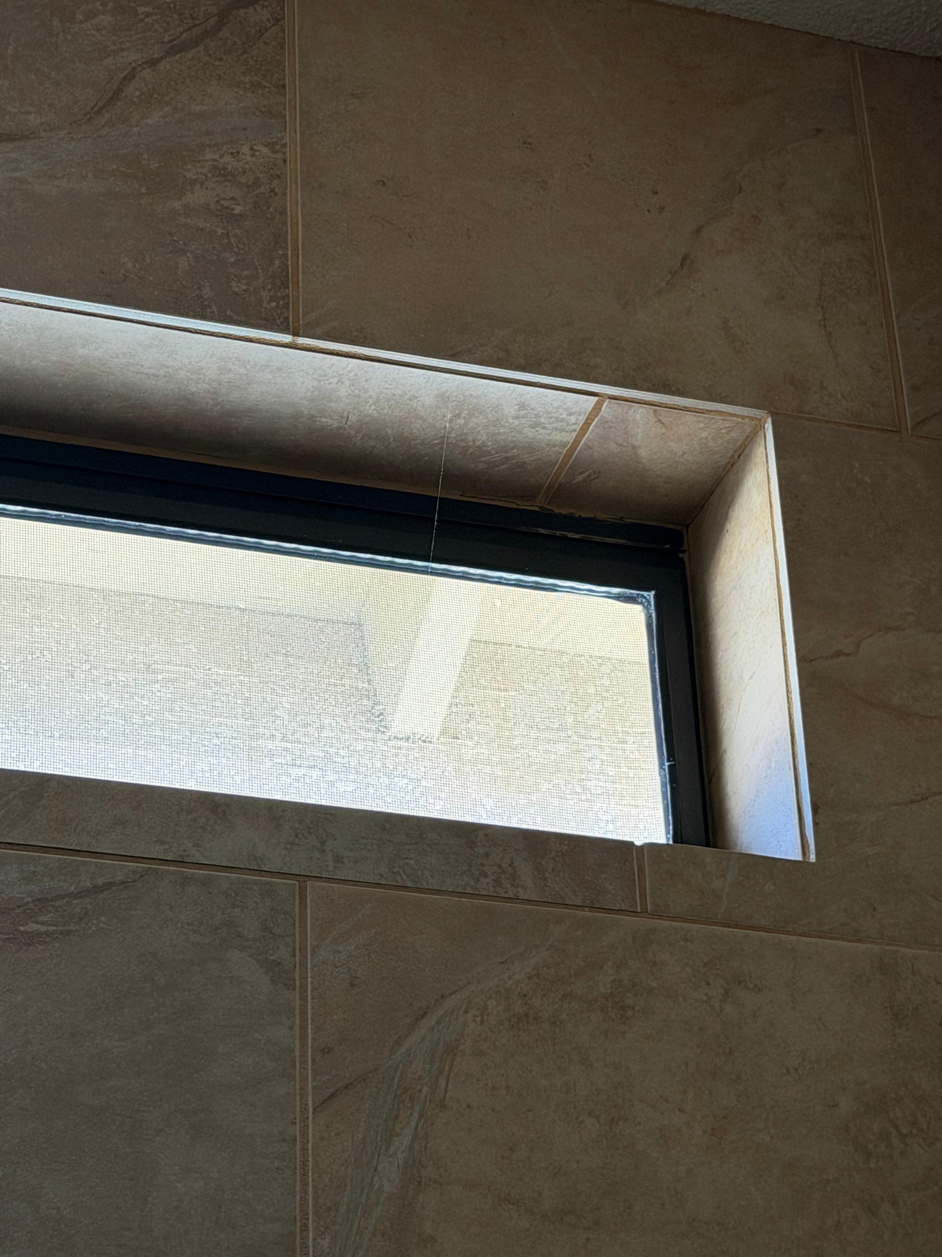 Spider webs in shower