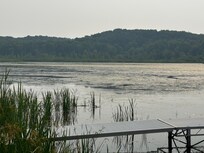 Beautiful wetlands to the east of the cottage