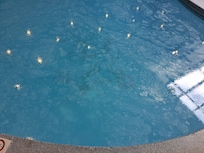 Gross film on surface of pool felt like grease/oil as well as bottom full of dirt. No maintenance for entire 10day stay. There is NO HOT TUB REGARDLESS OF WHAT THE ADVERTISEMENT SAYS. THEY TURNED IT INTO A FLOWER BED.