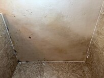 Mold in the shower