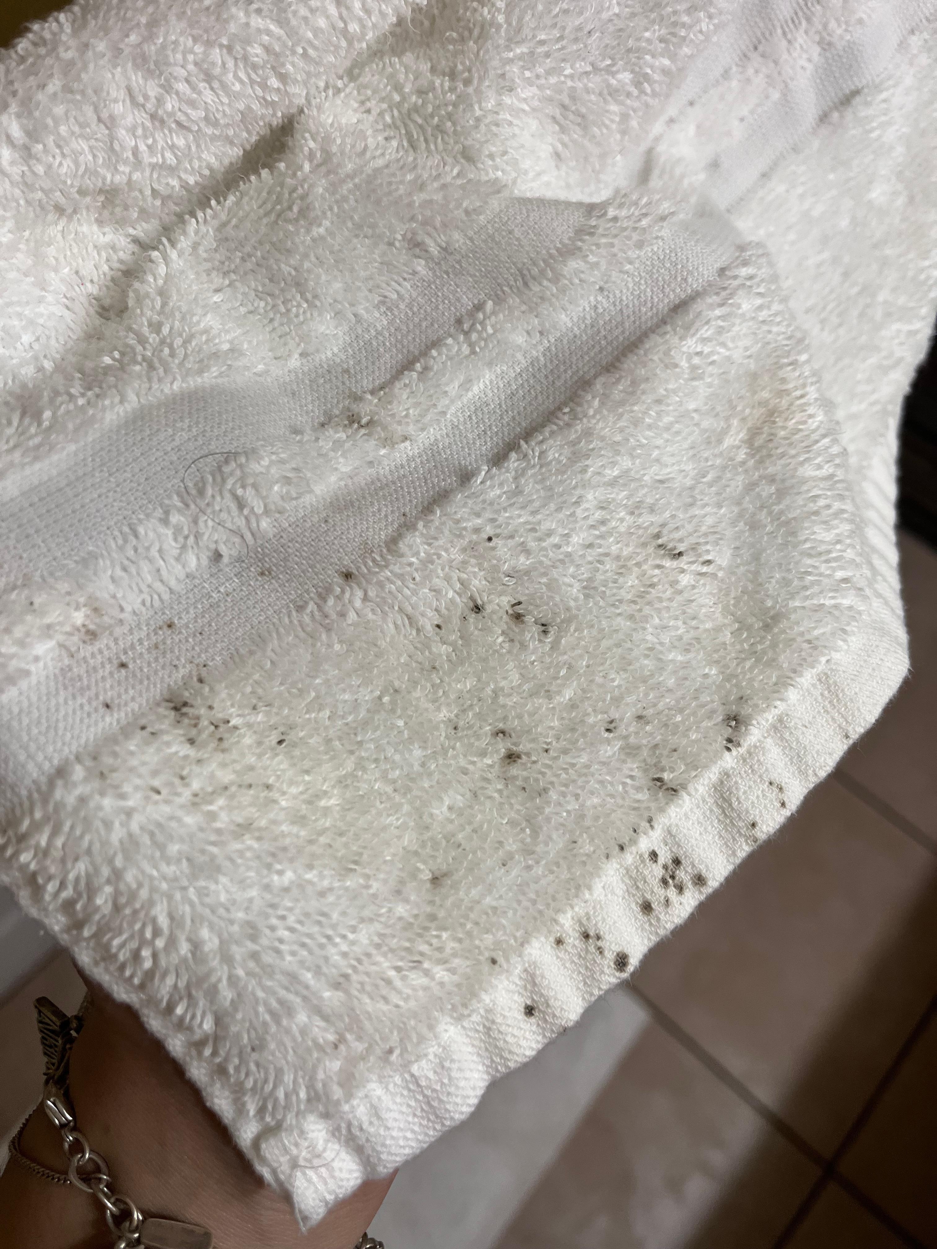 The mold on the towel. 