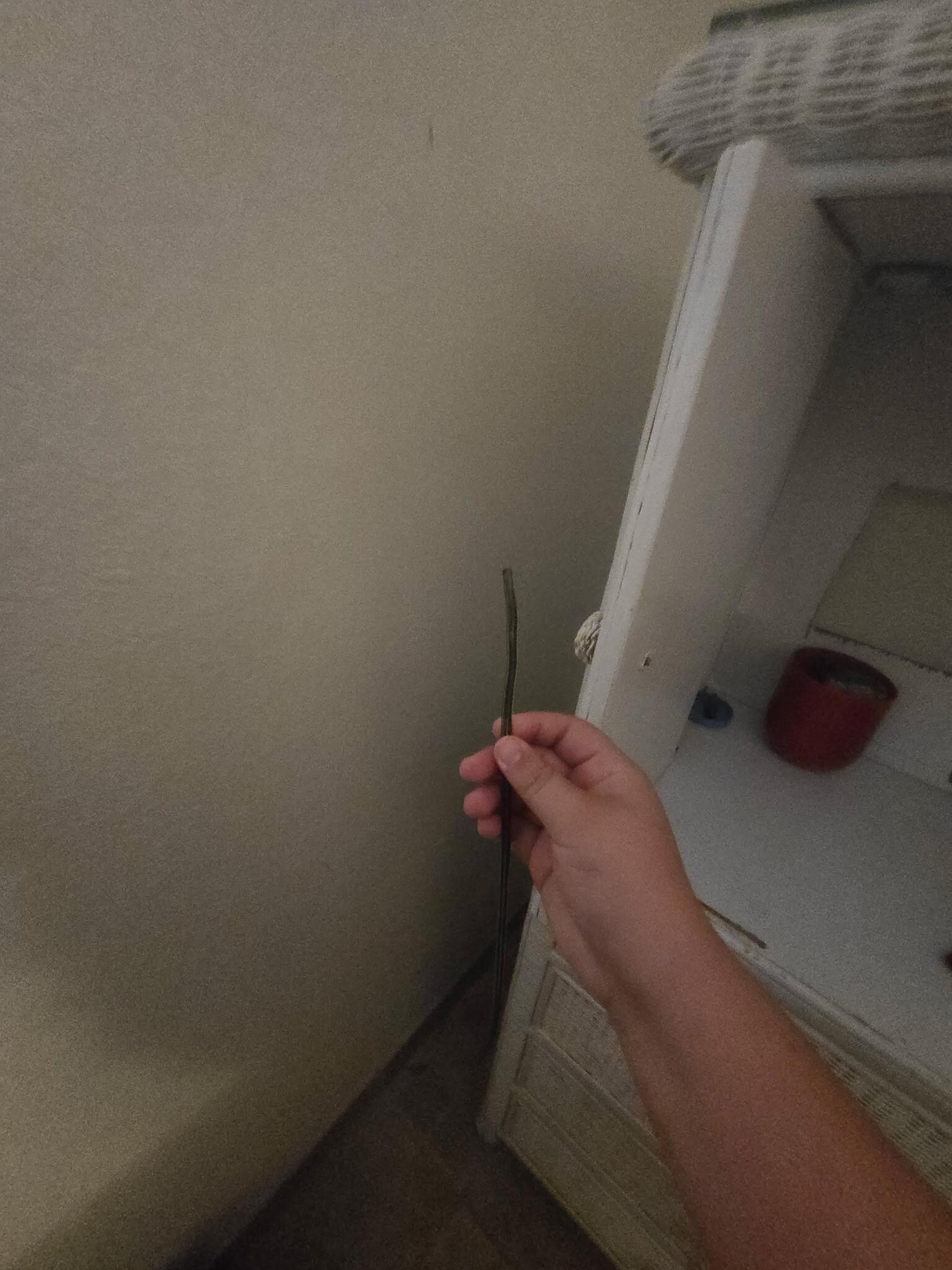 Broken lamp cord