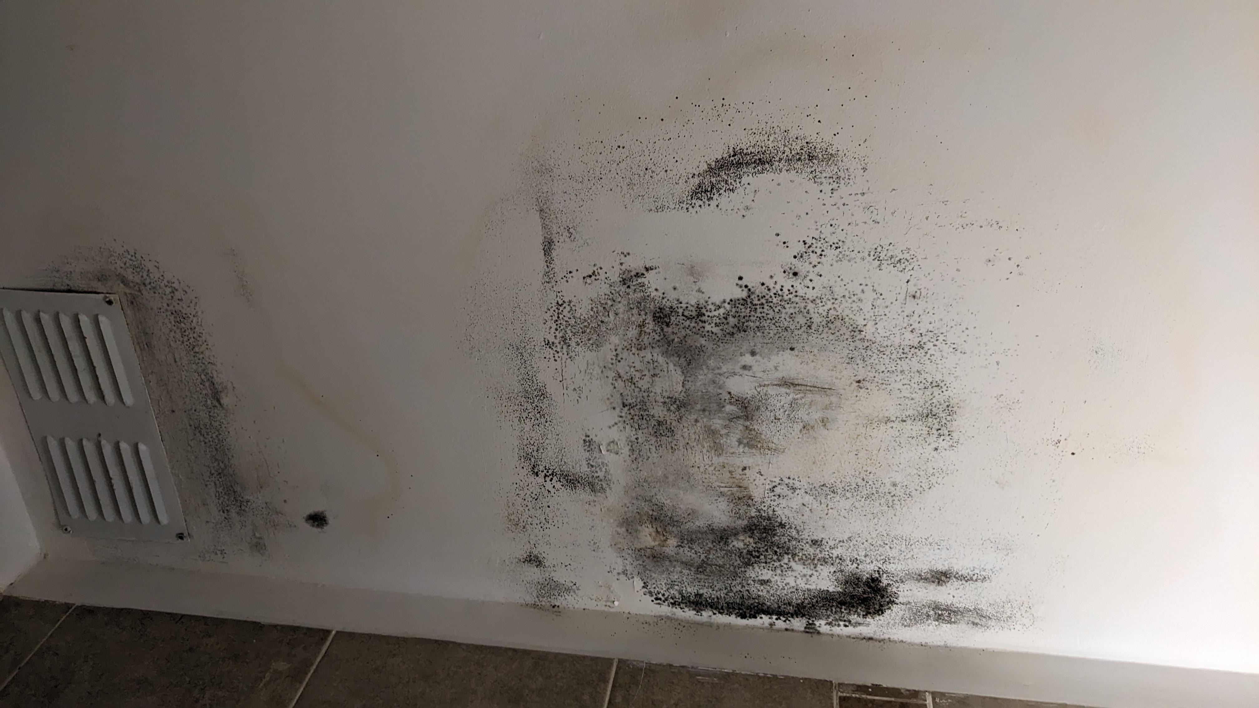 Portion of the bathroom ceiling covered in mold.
