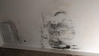 Portion of the bathroom ceiling covered in mold.