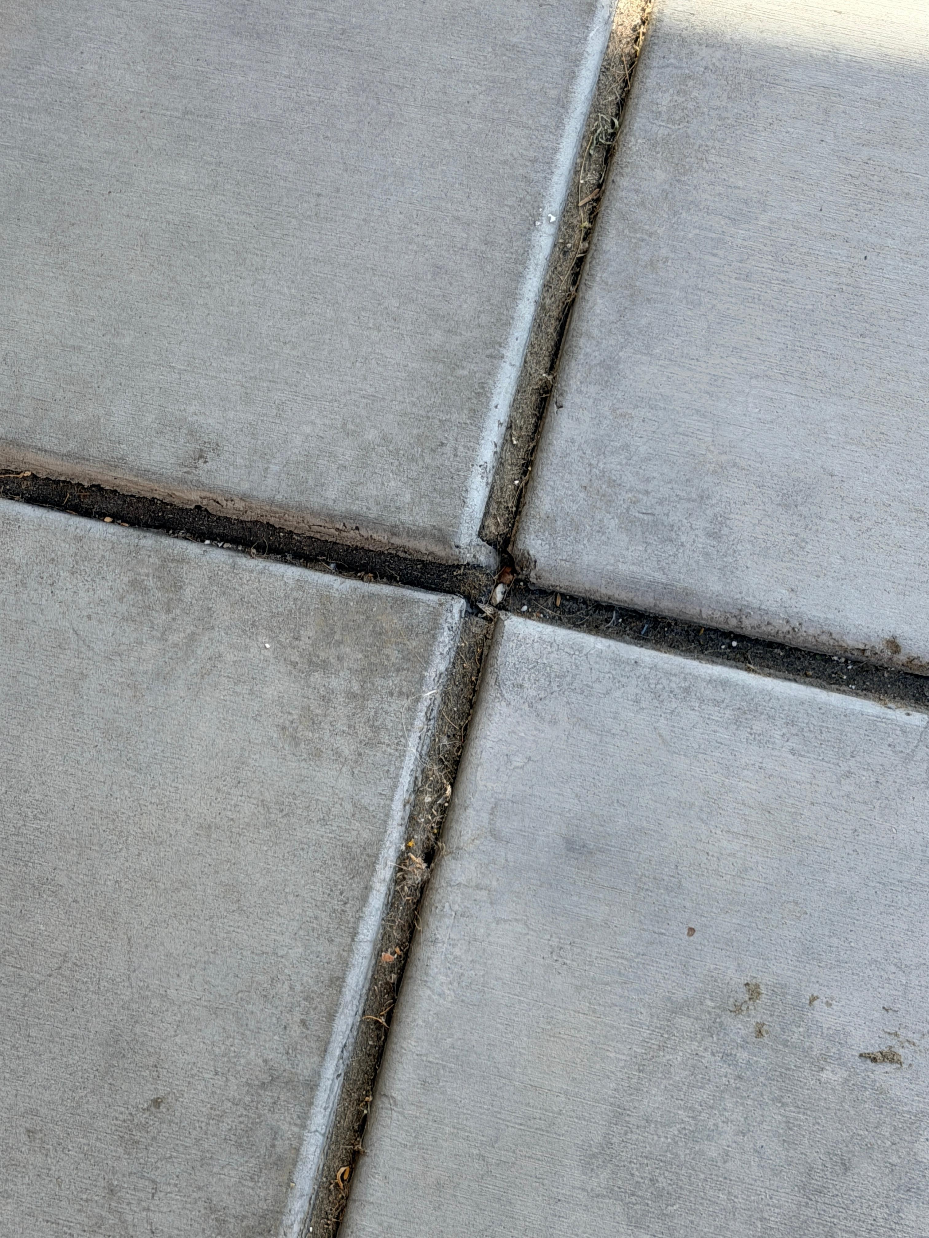 The cement pad where the nail was and lots of hair and crud. 