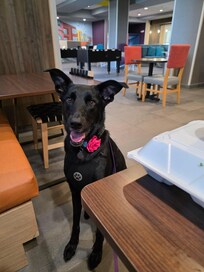 Lots of seating to hang out, and tables to dine at.