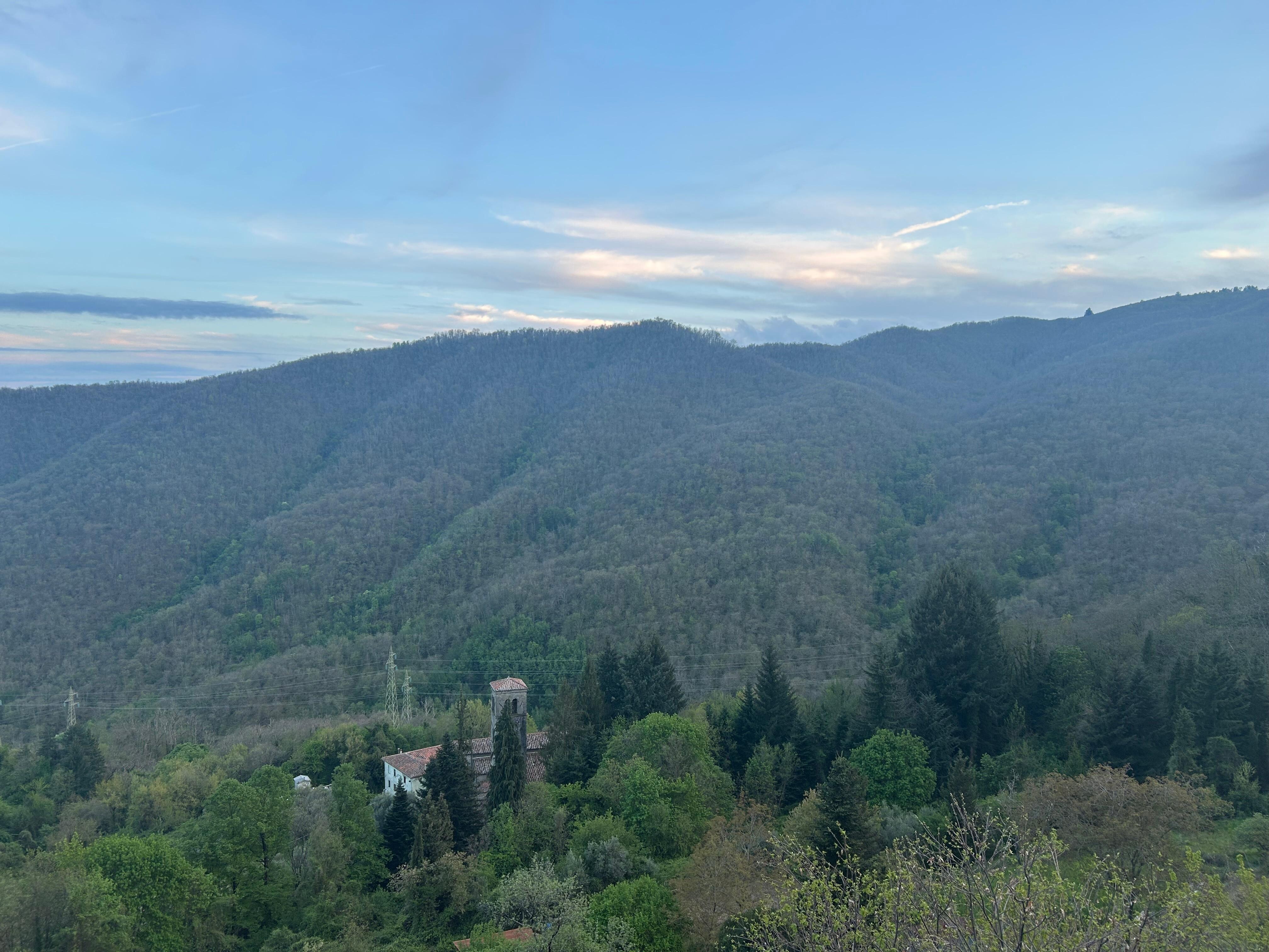 How about that for a view