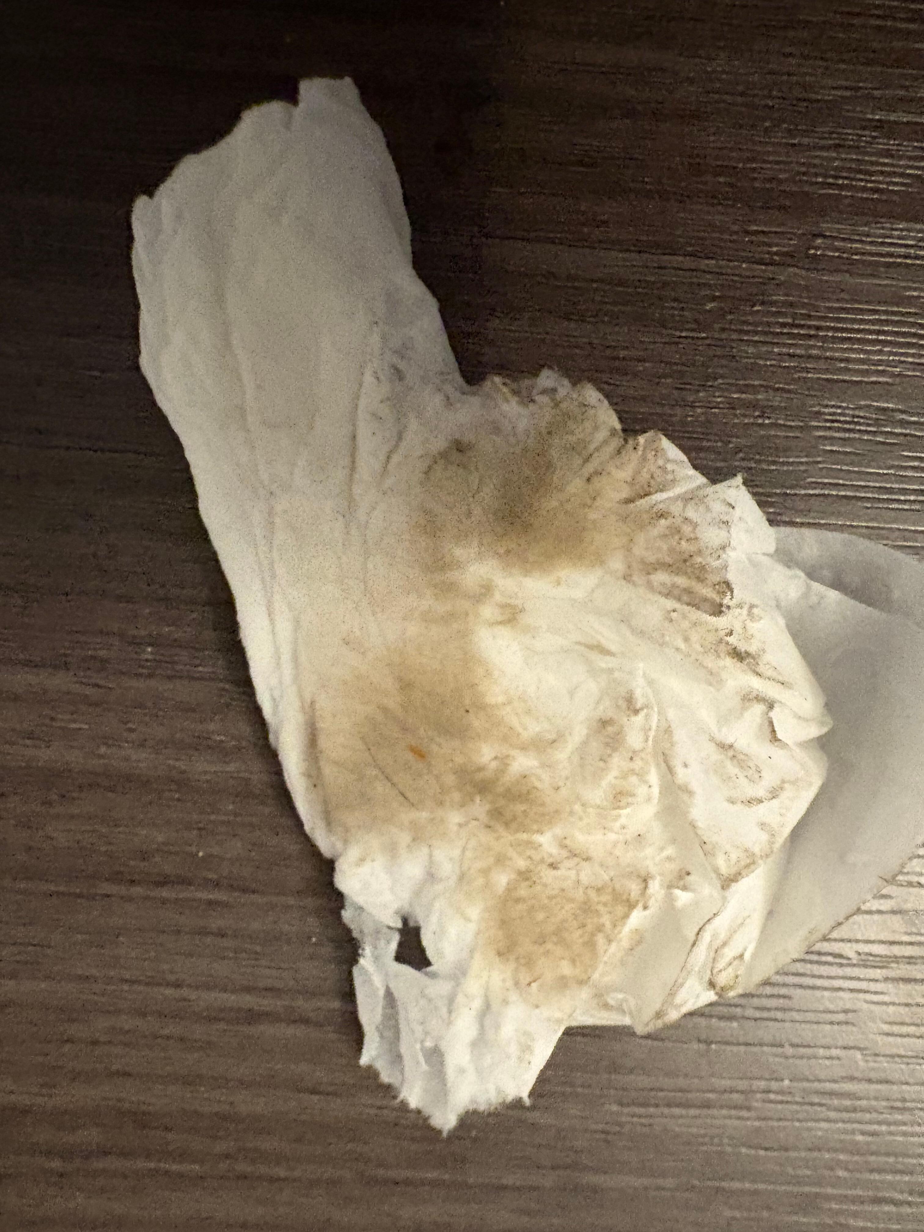 Dirt from tiny sample of floor probably not washed for weeks.