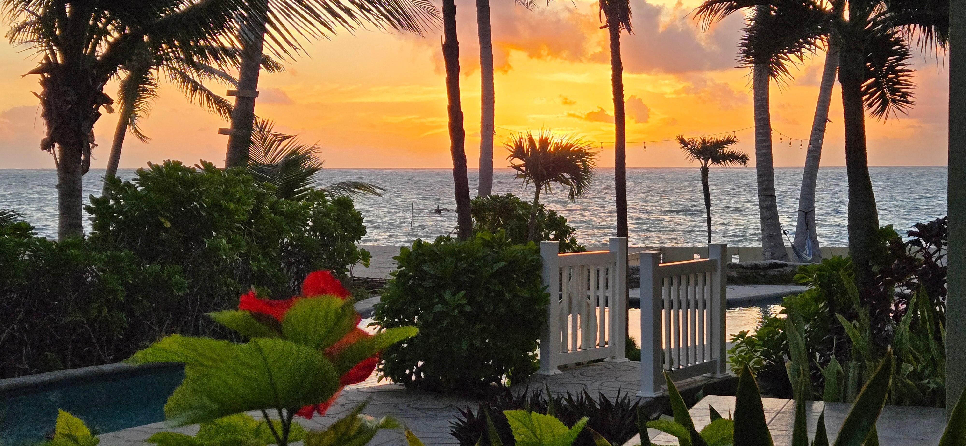 Morning shots! Three different days.