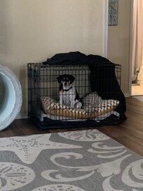 Our boy was very happy, most of the time. Not so much here. LoL