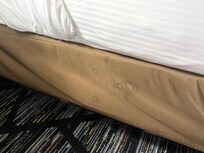 White stains on brown bed skirt