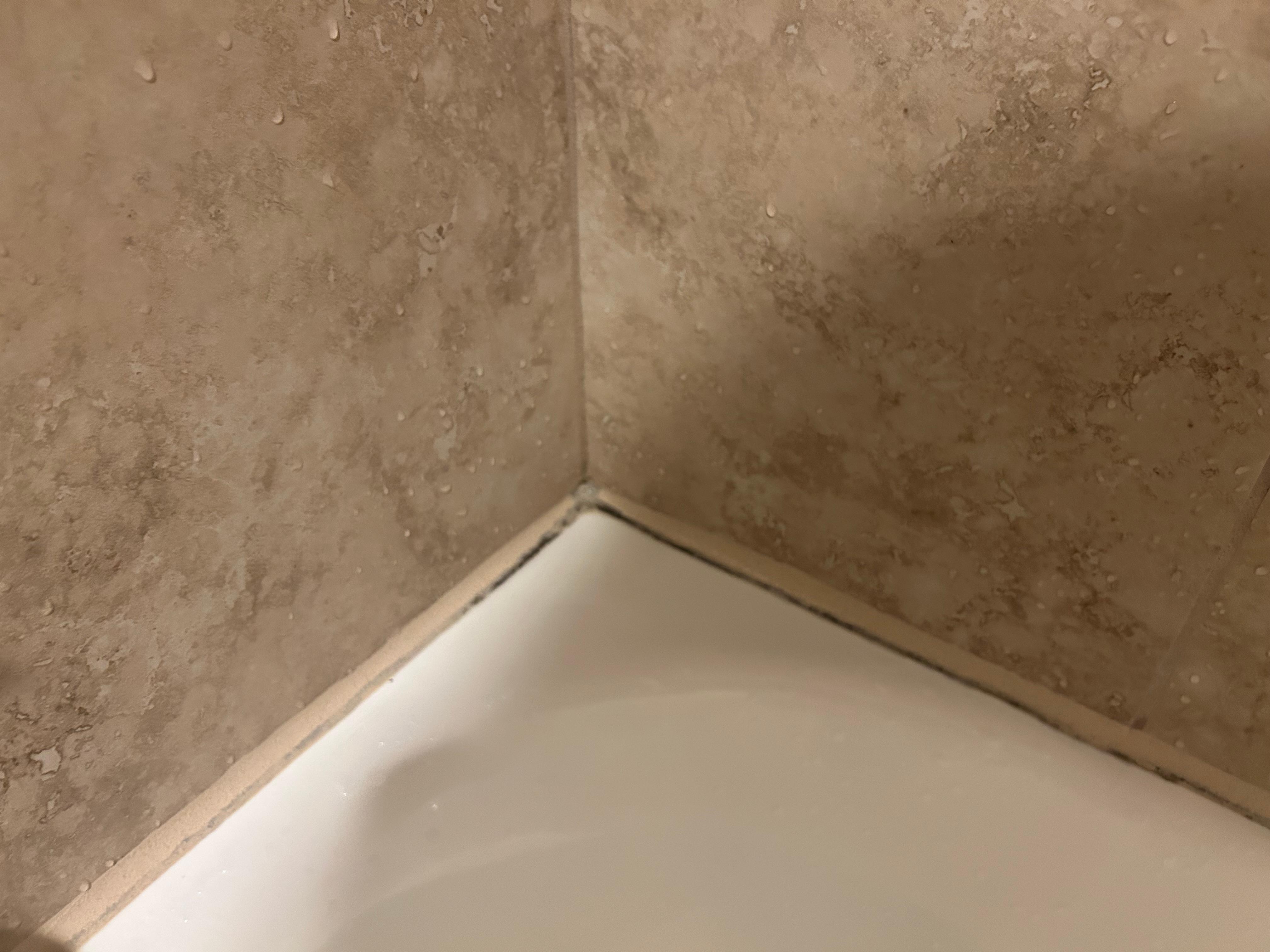 Mold around bath tub 