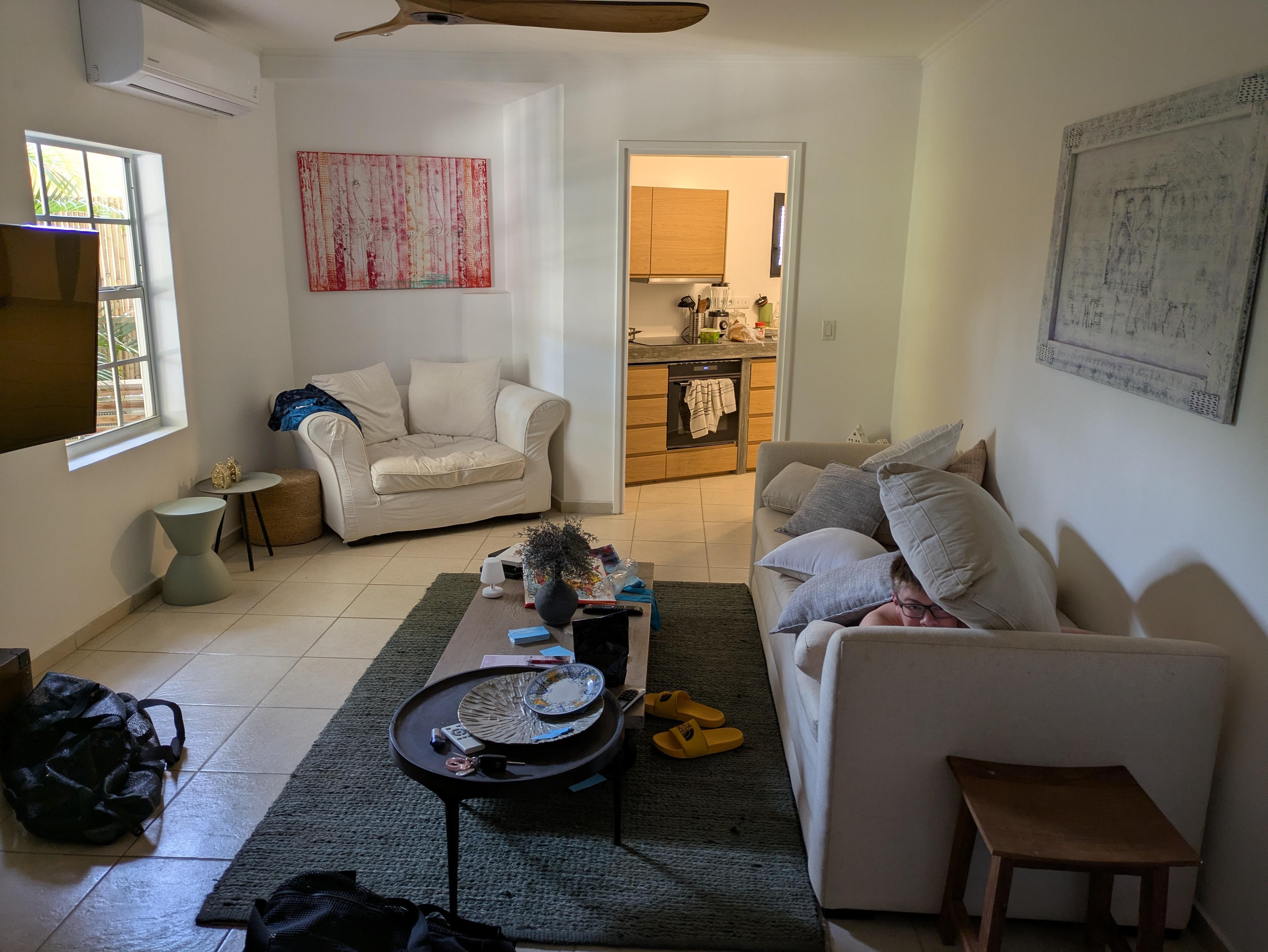 Living room and kitchen at the back