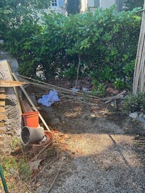 Photo taken in the garden