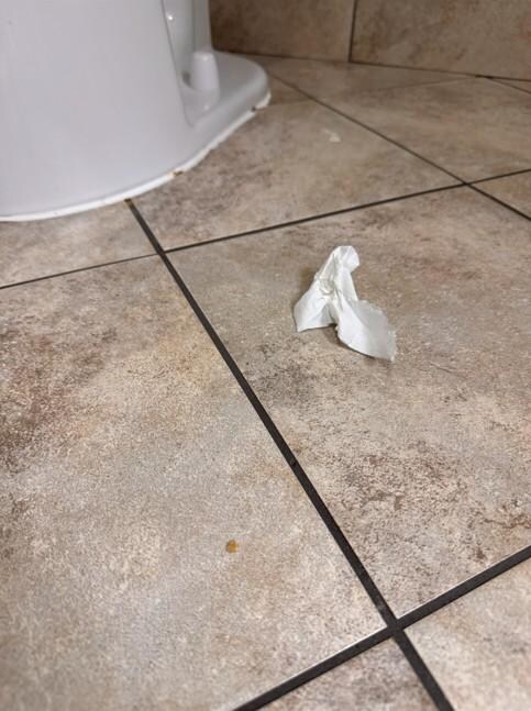 Dirty TP and earwax (or something else nasty) on the floor by toilet.