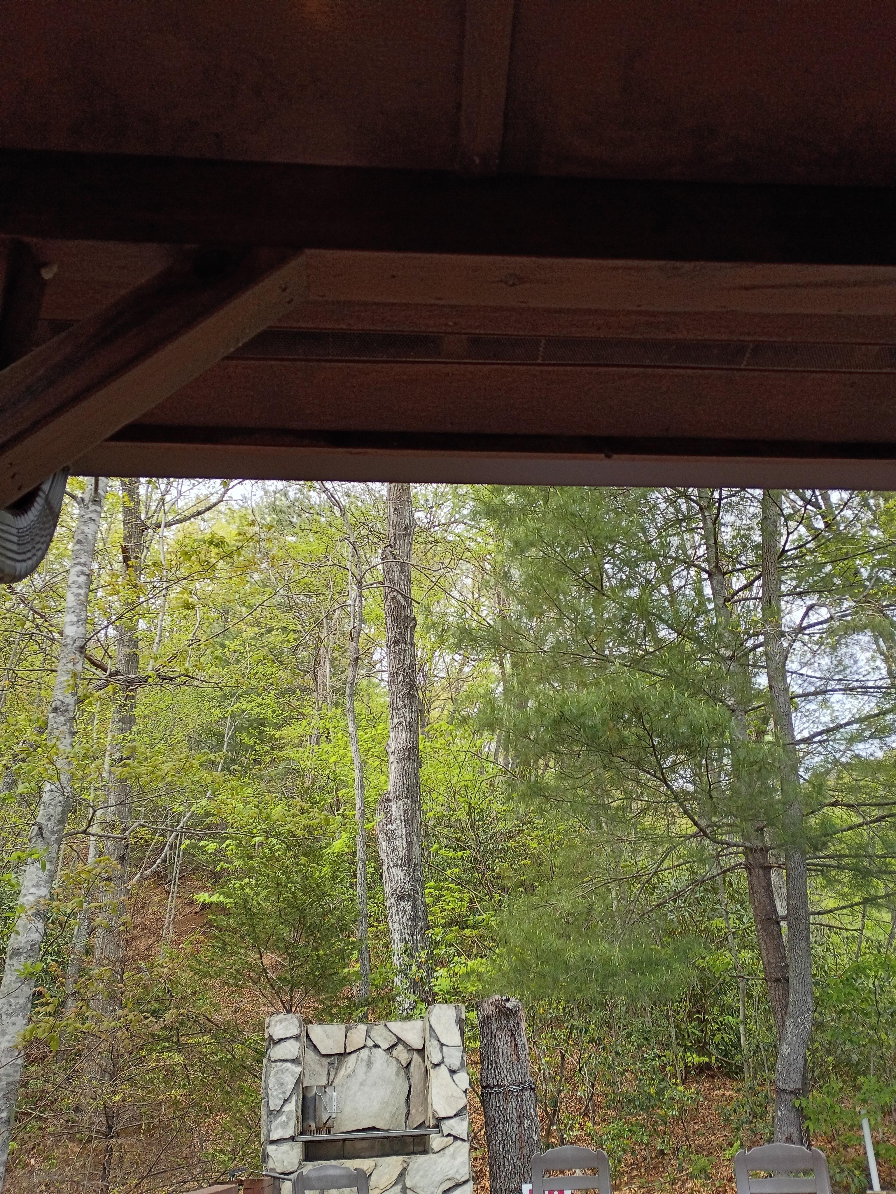 More view and charcoal grill