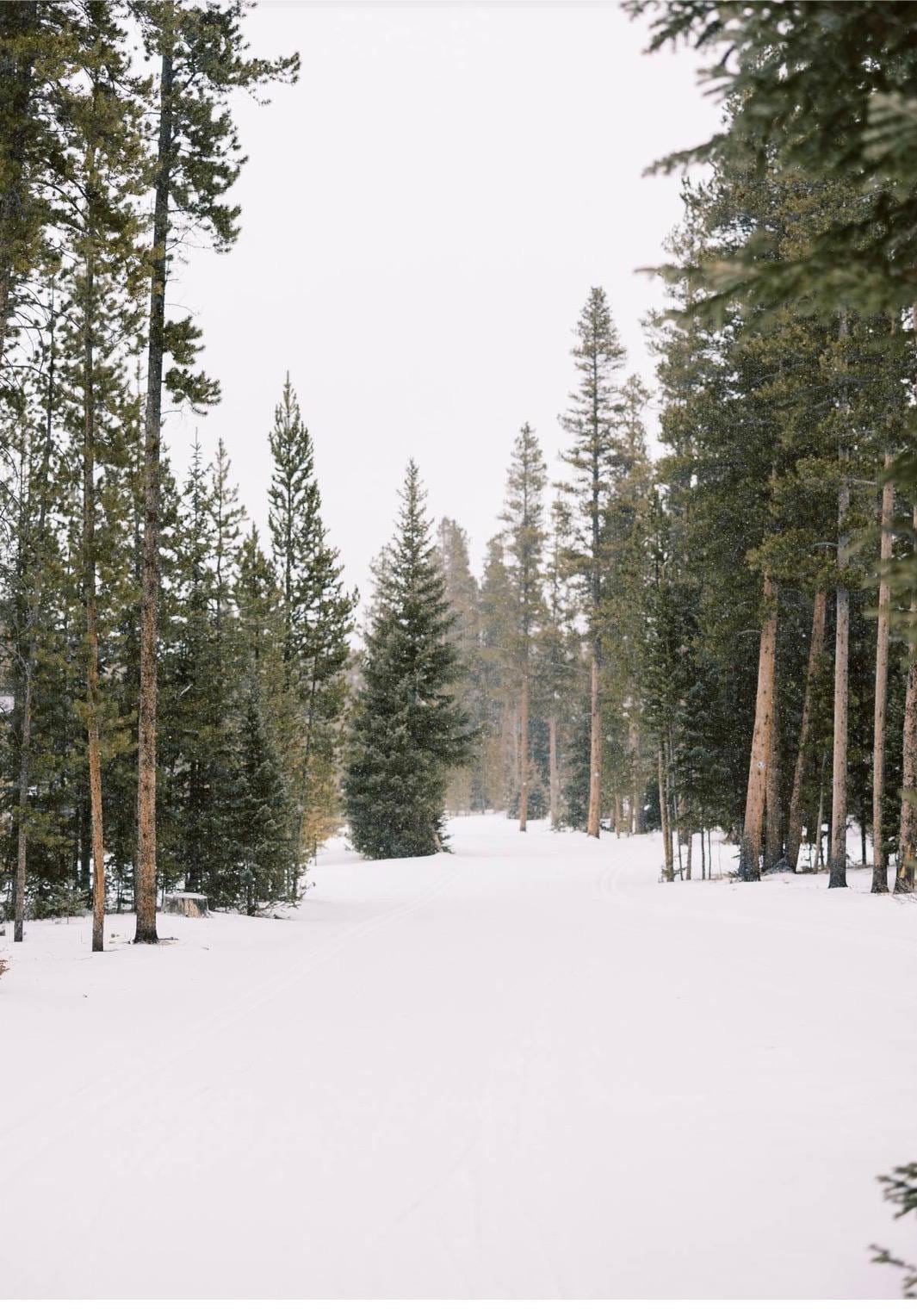 This was the view from the hot tub out back. It’s a cross country trail. We took family photos with that as an awesome back drop.
