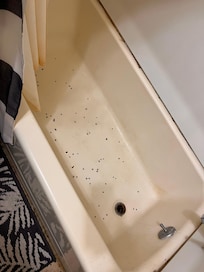 Egregious amount of flies that tripled in amount when we came back at night