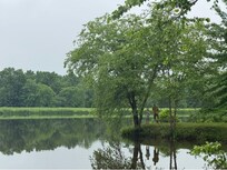The pond on the golf course