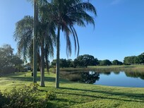 View from backyard