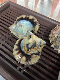 Oyster pearl cultivating farm in Ha Long Bay area