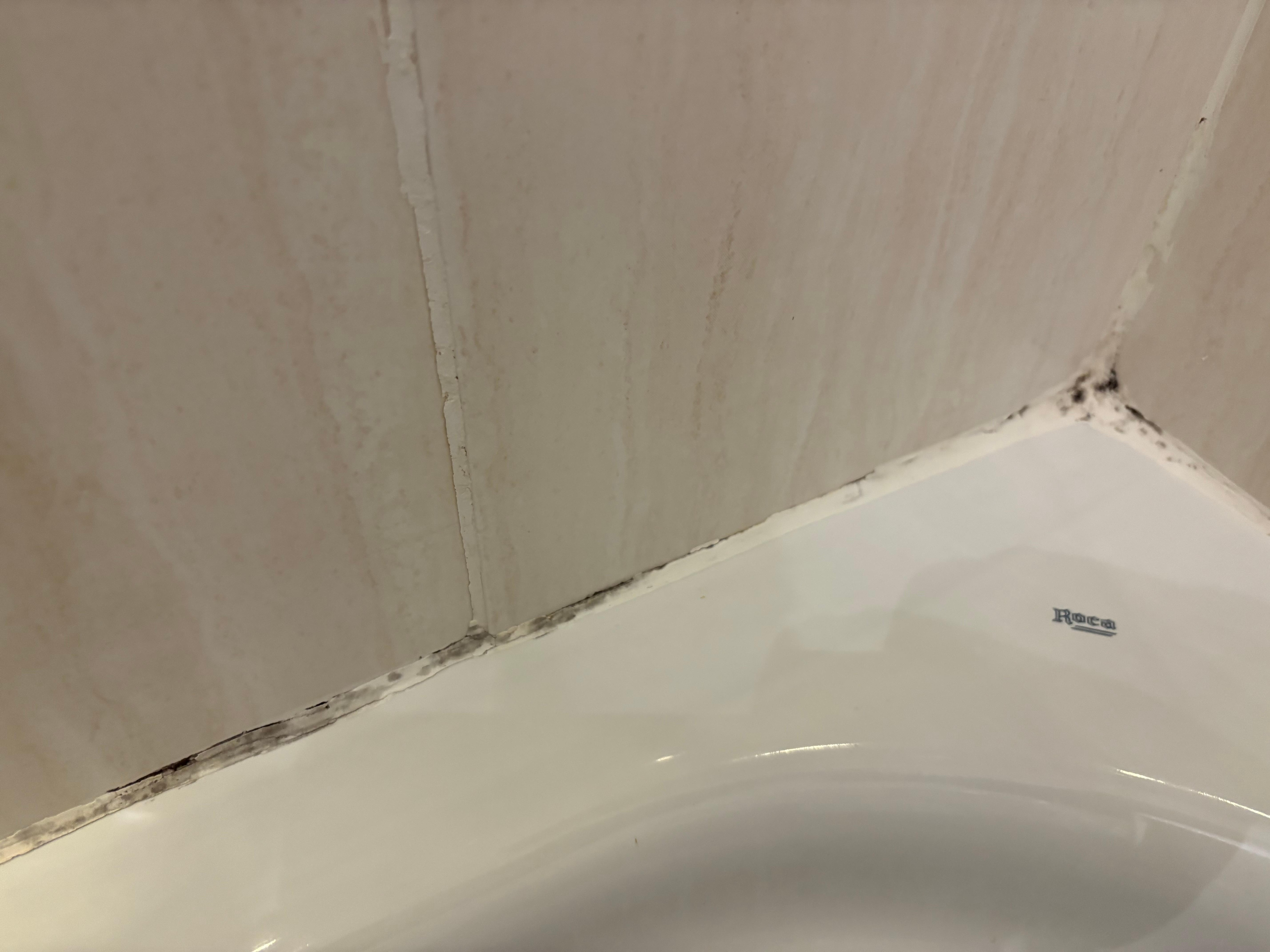 Shower, pics don’t do justice 