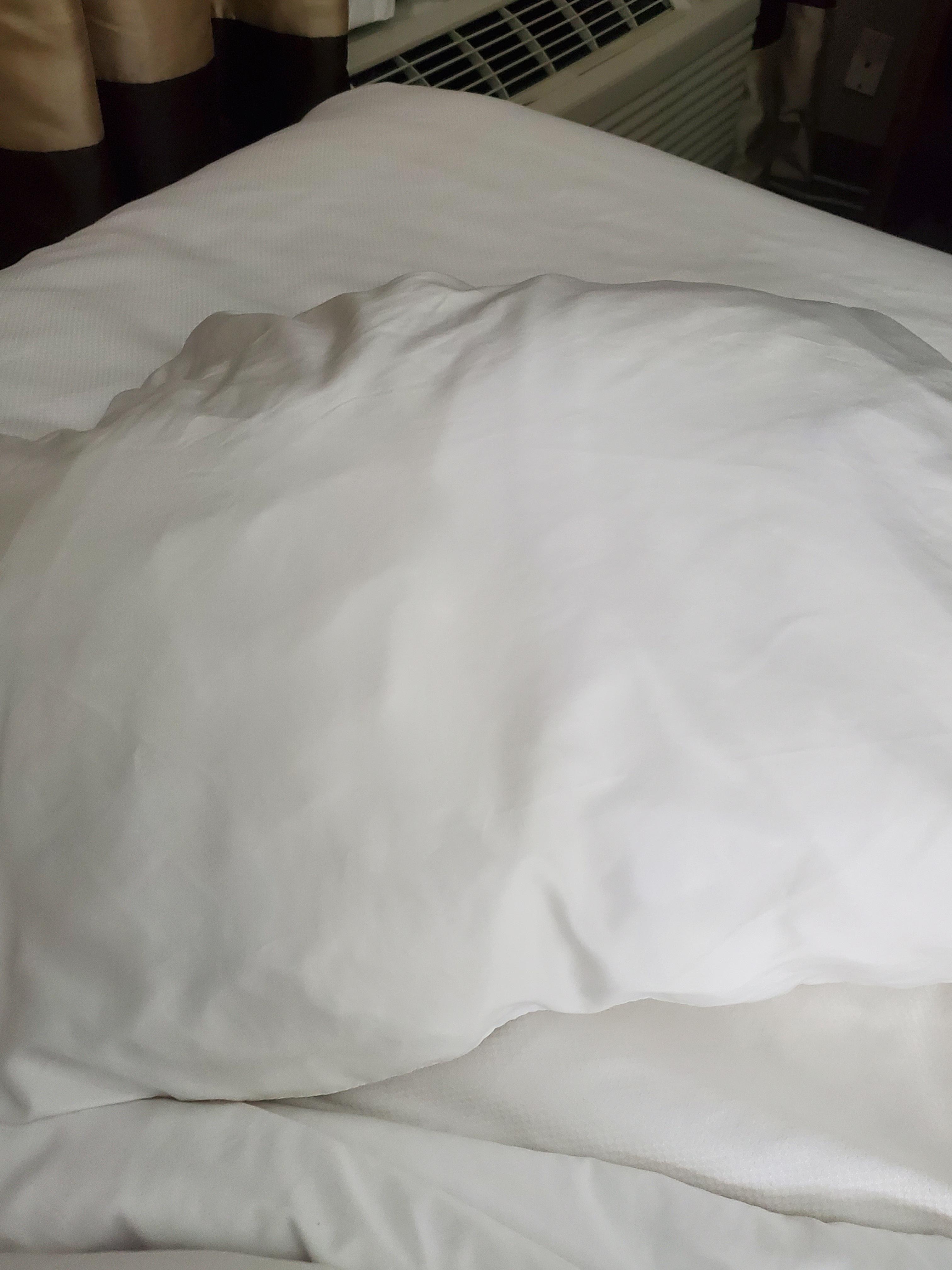 No idea what was stuffed inside - I couldn't bring myself to look