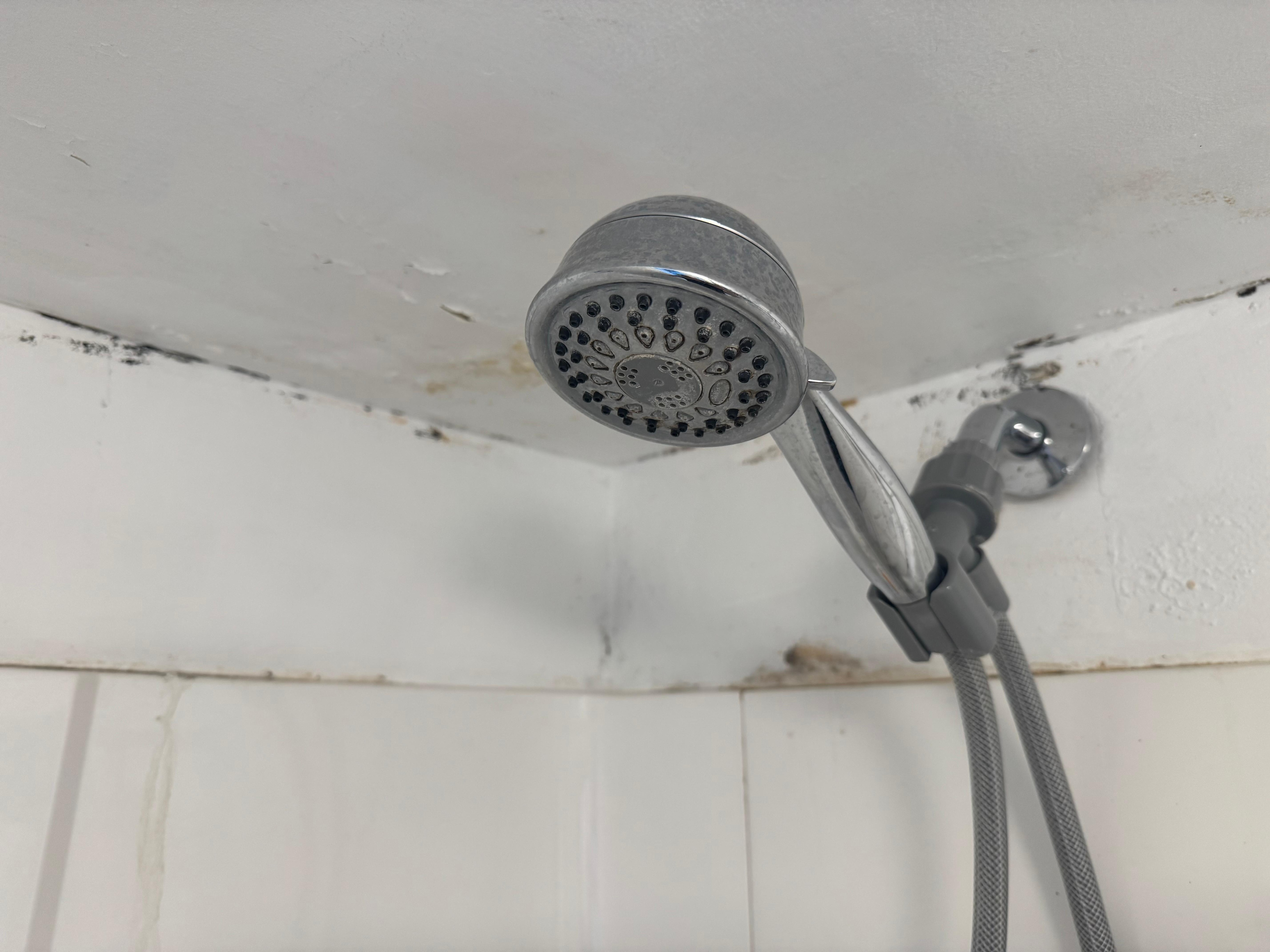 Primary bath shower
