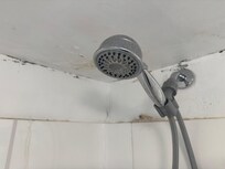 Primary bath shower