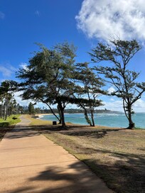 Views from the walking/bike path in front of the house.