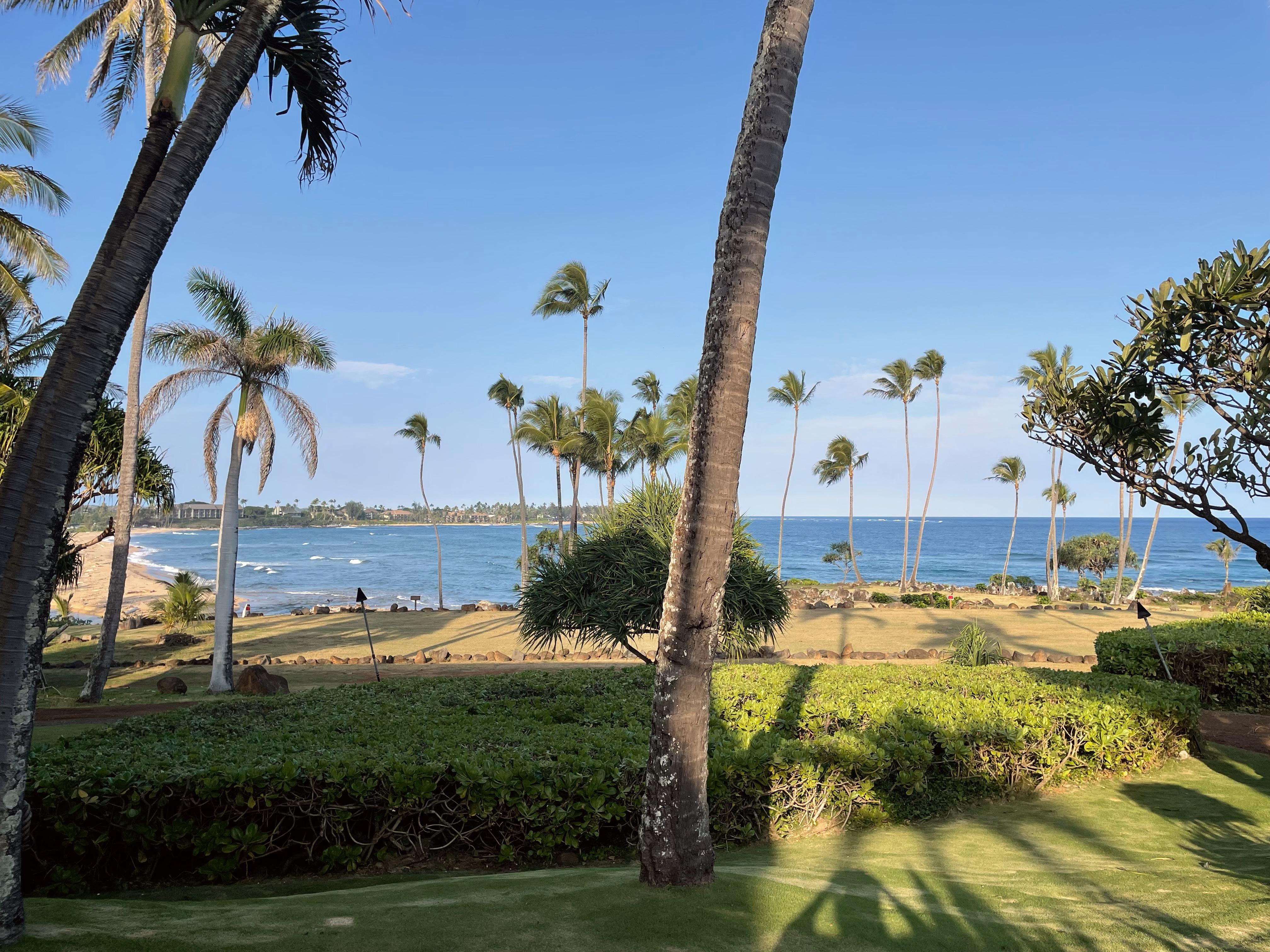 Beach view