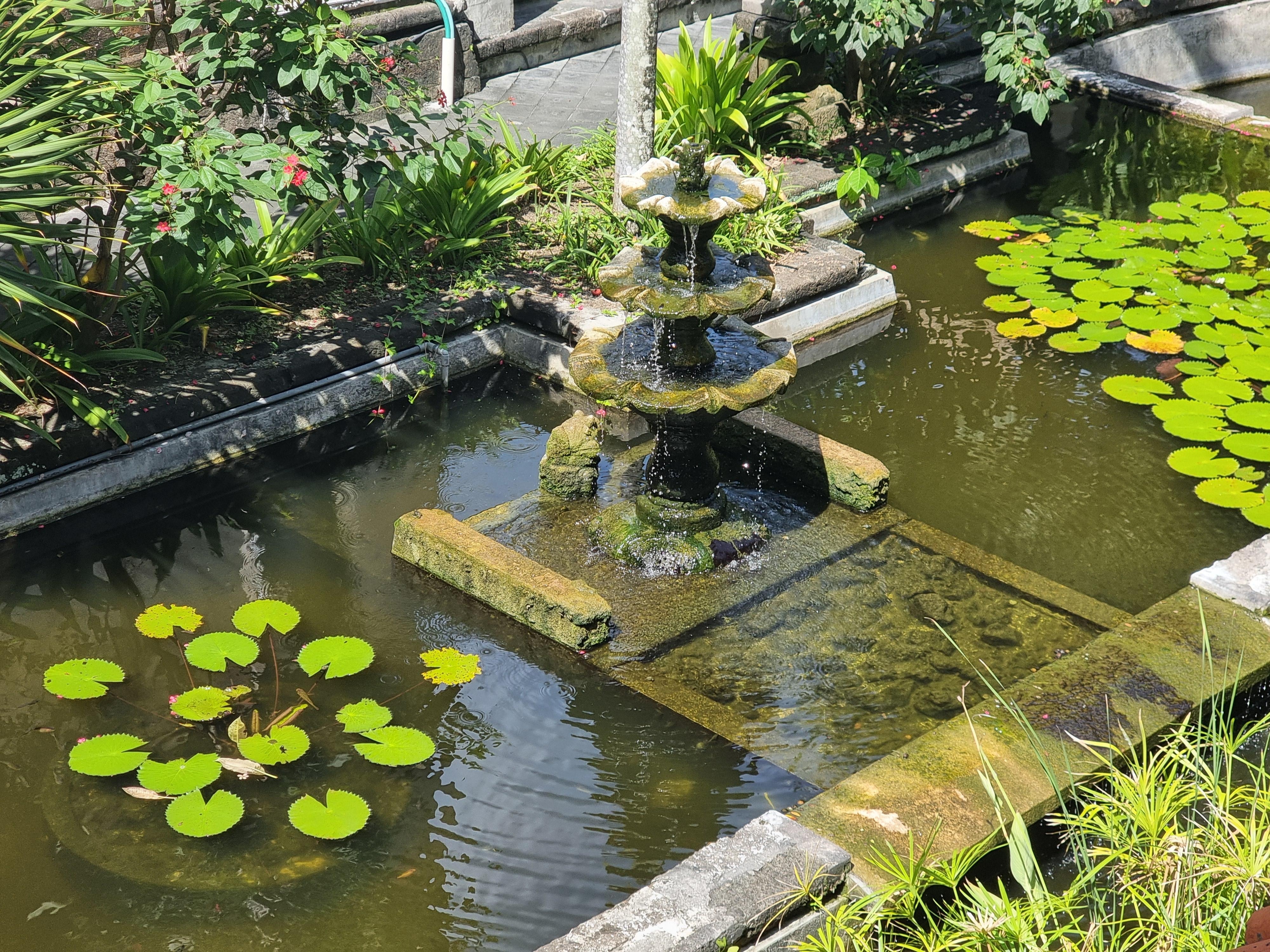 Blick vom Zimmer 215