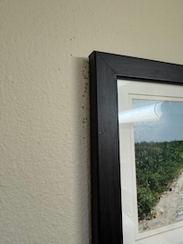 Mold behind picture frame