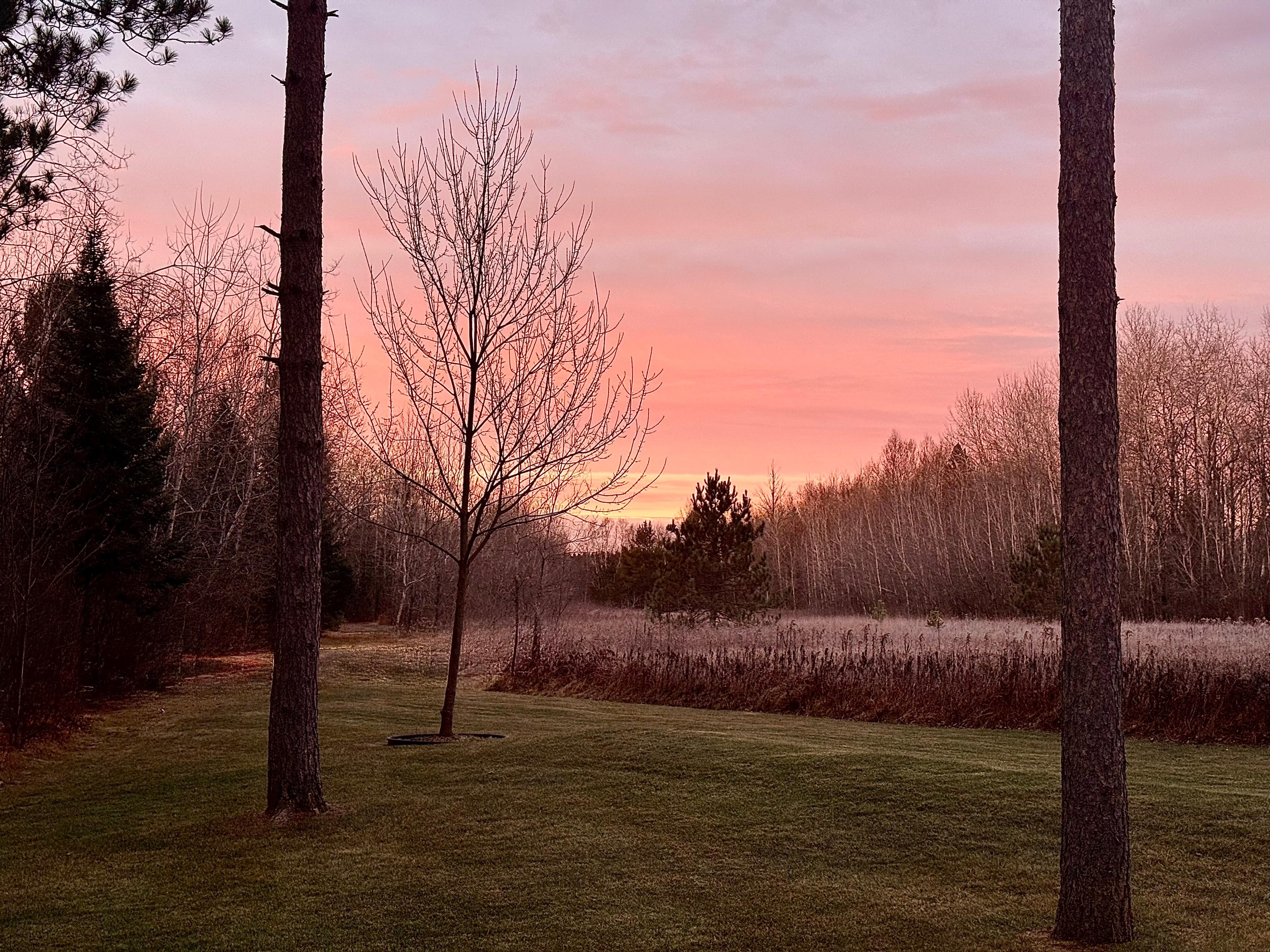 Morning view from the deck while enjoying some coffee. 