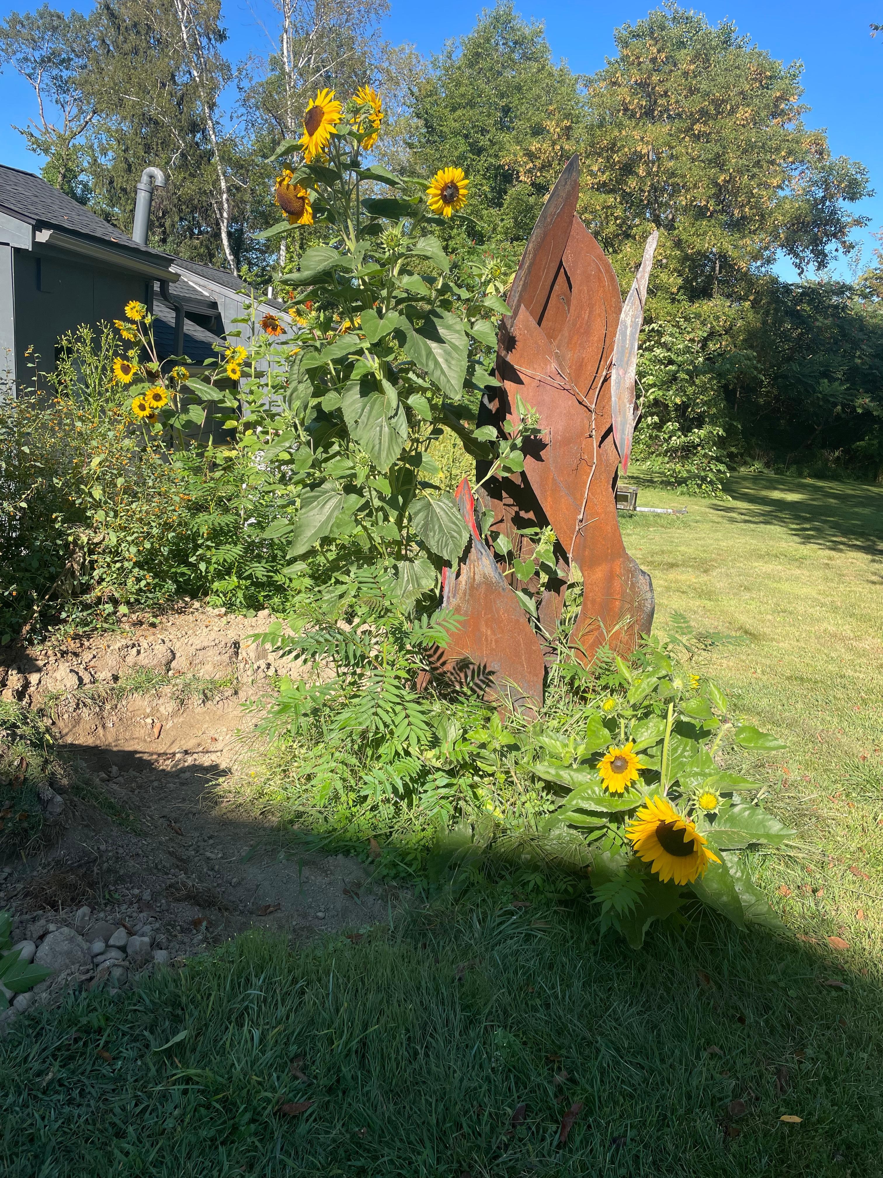 Sunflowers and rusted metal = “sculpture”