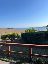 Room with a view