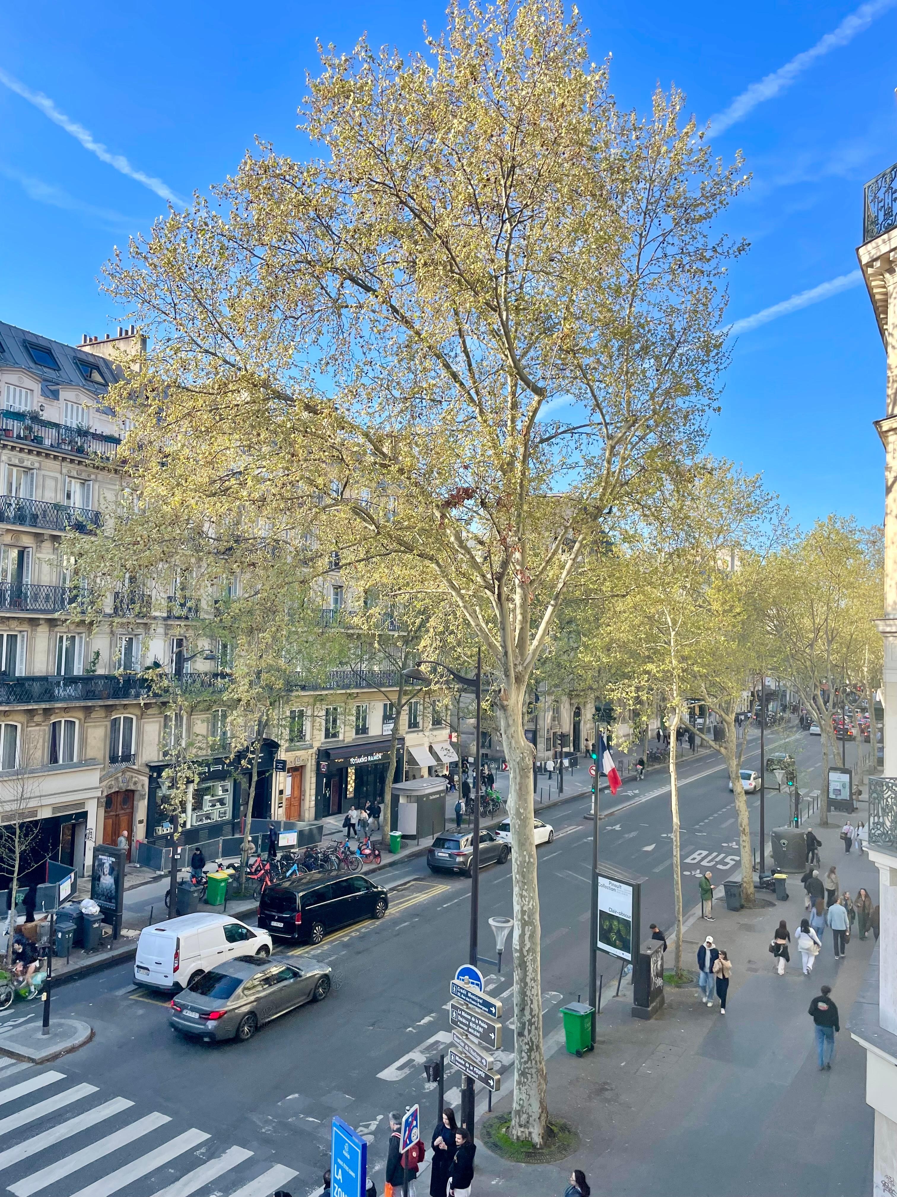 View from the balcony