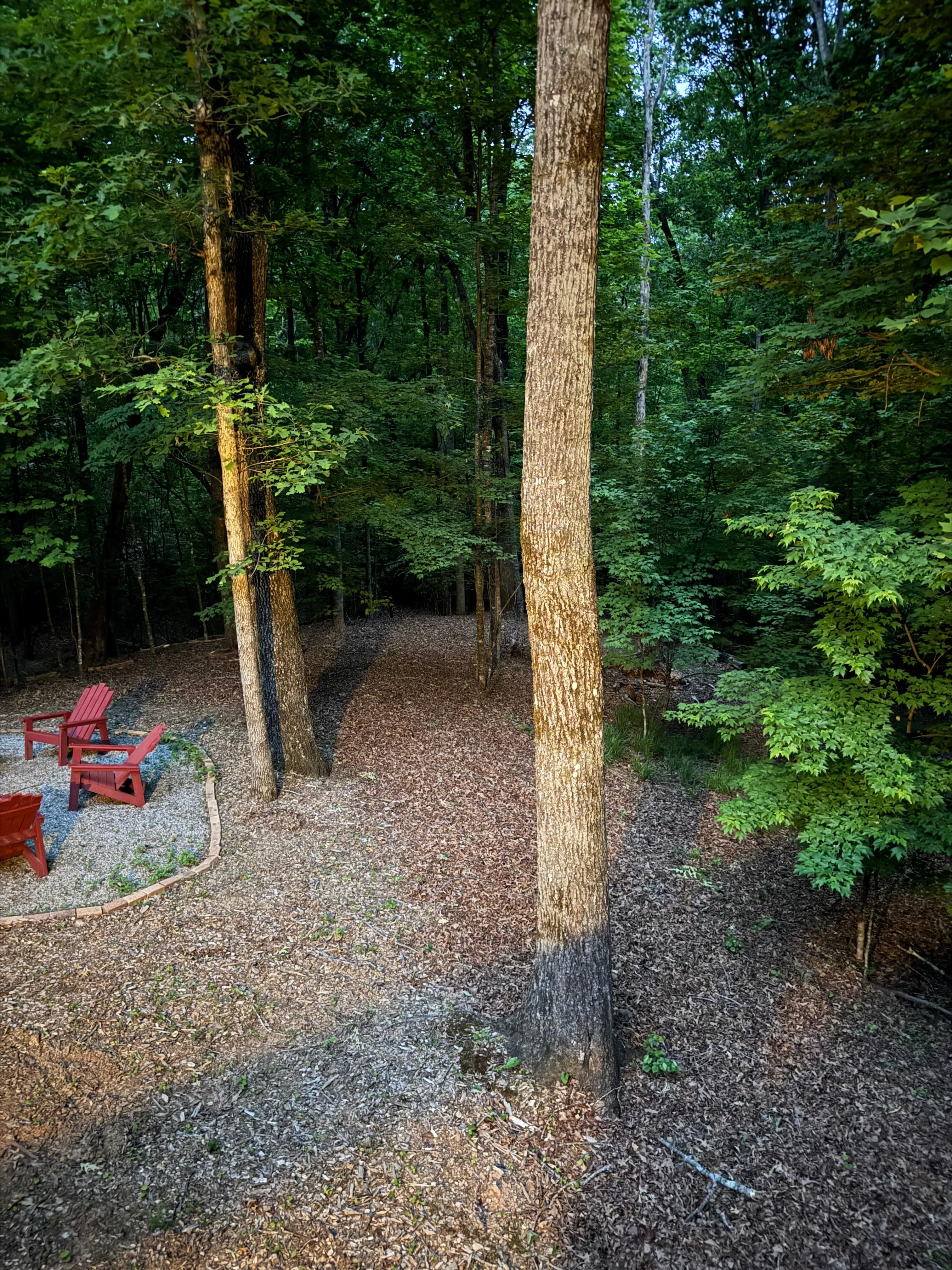 Our VRBO, wood included
