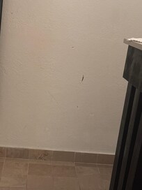 Wall stains