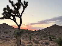 Out bedroom window at sunset.