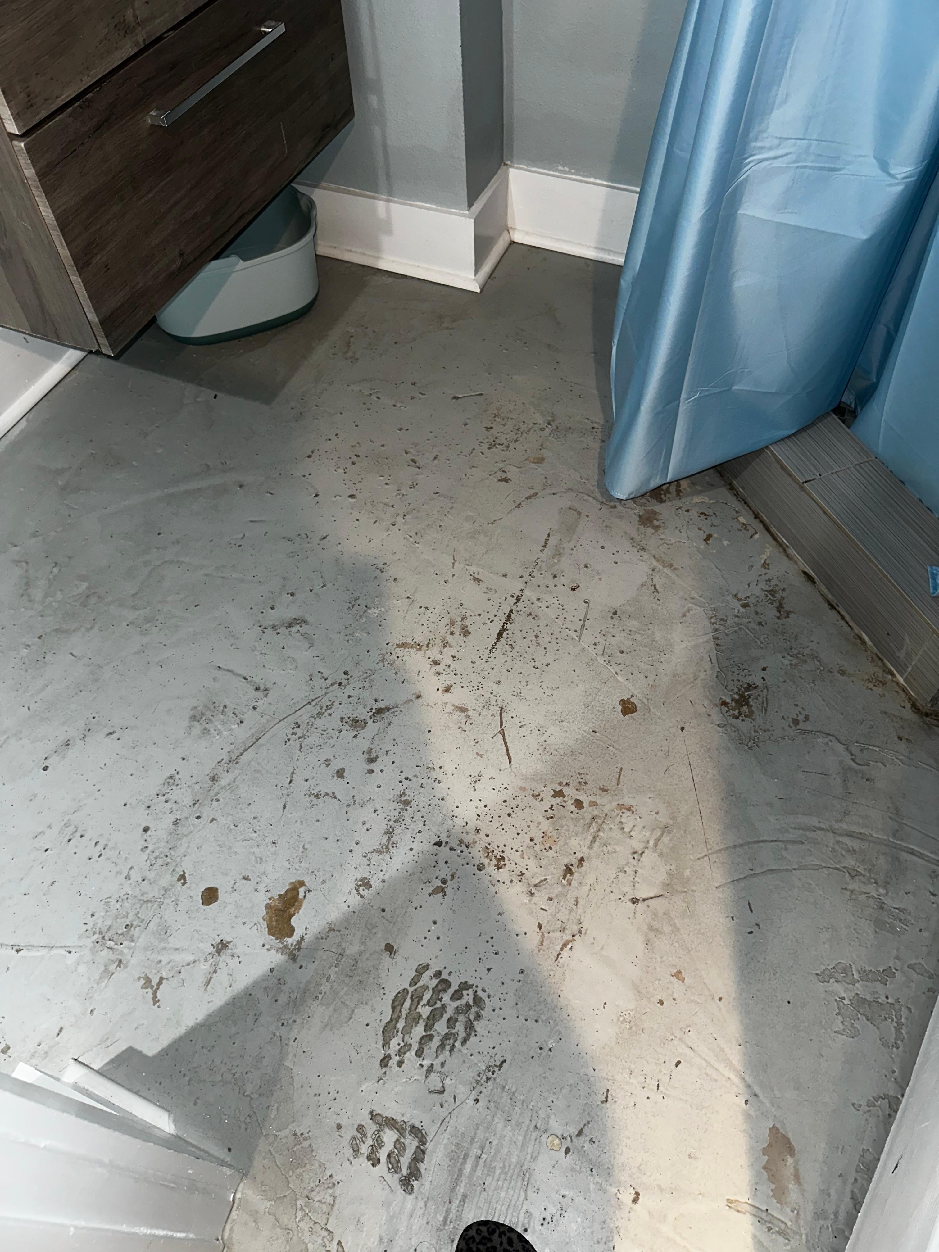 Multiple cockroaches found in here 