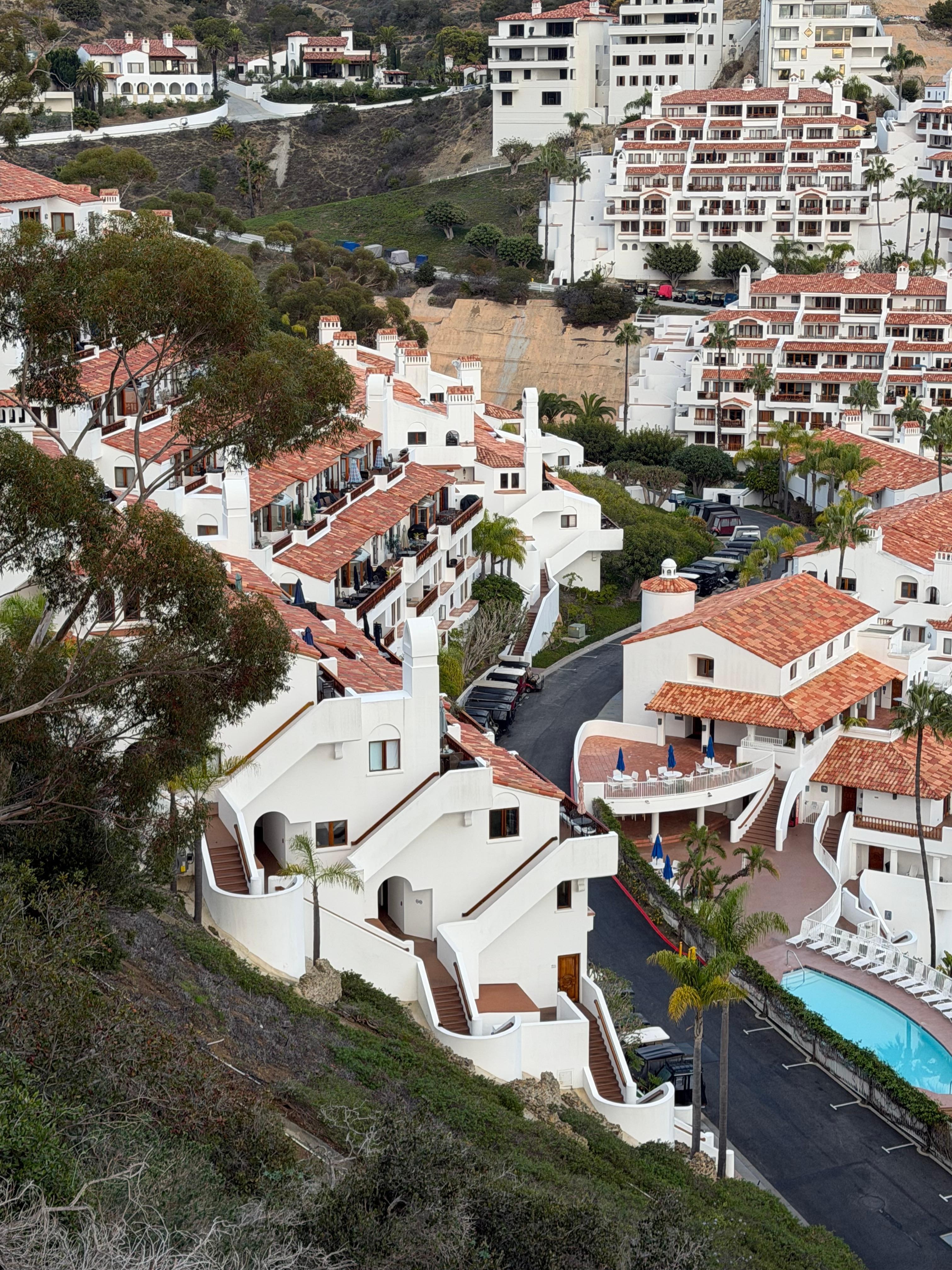 View from the road into Avalon.