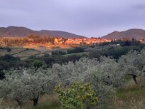 View from the terrace.