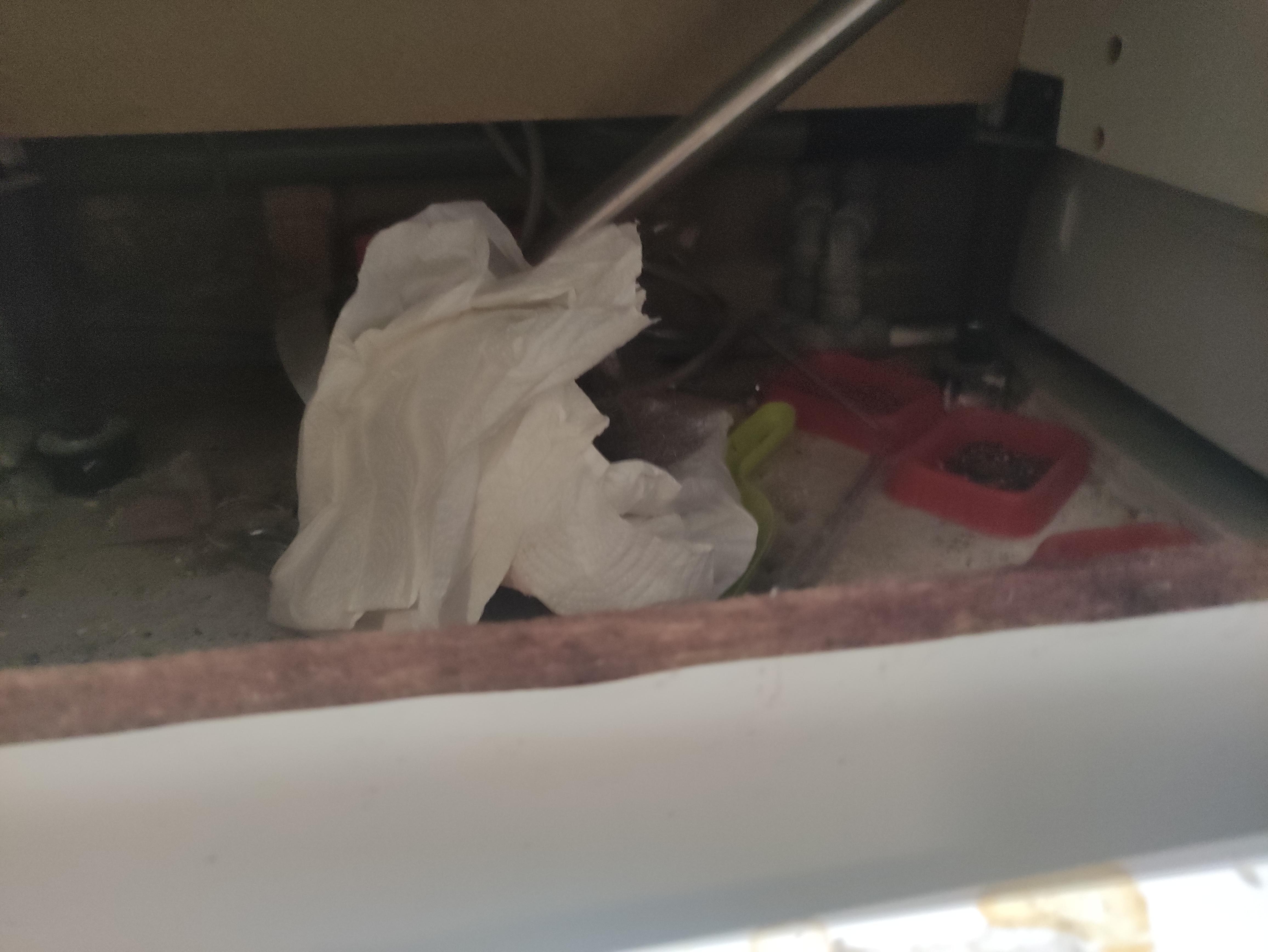 Trappole per topi nello zoccoletto della cucina