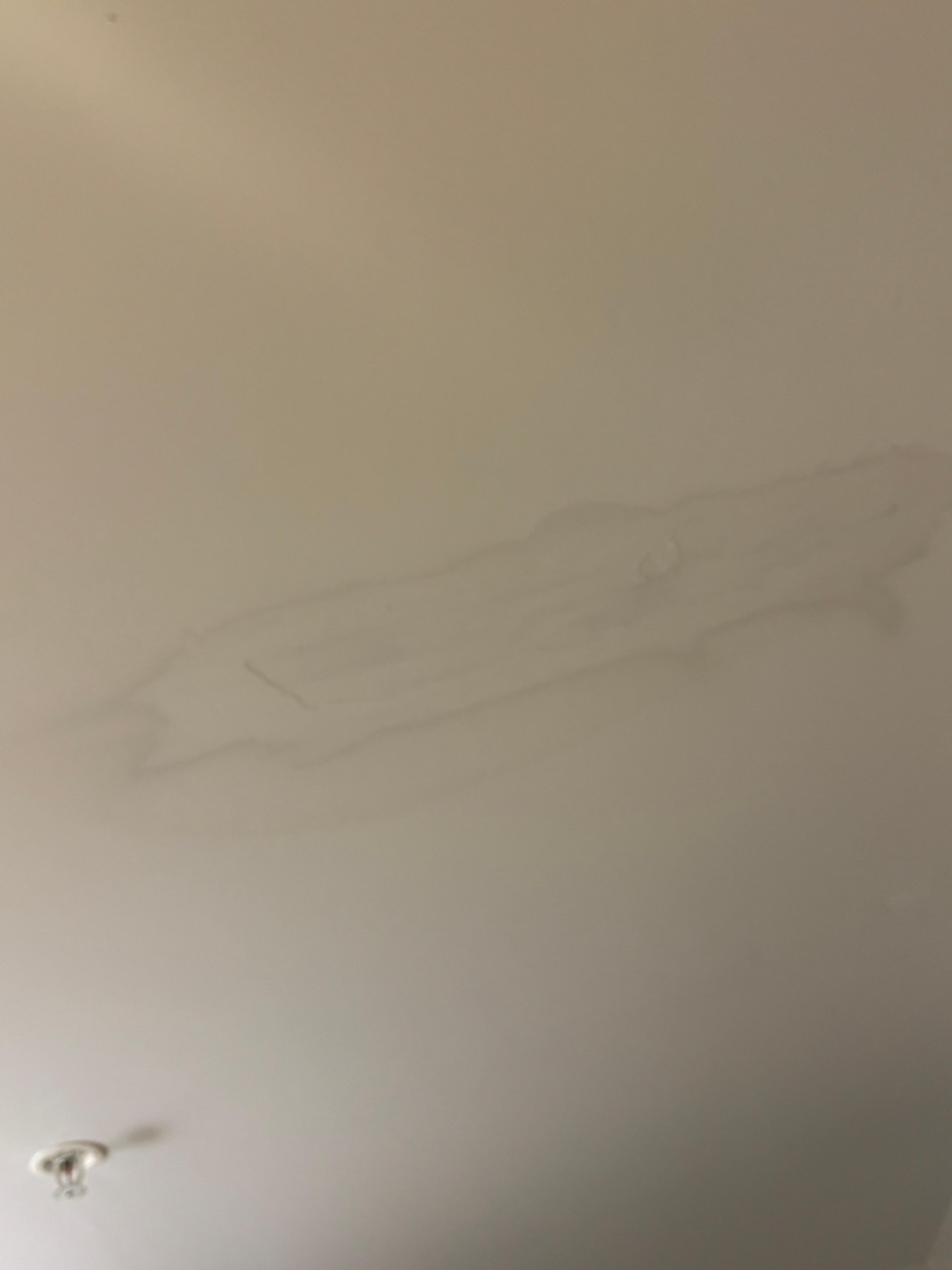 Prior water damage from floor above in bedroom and bathroom and living area 