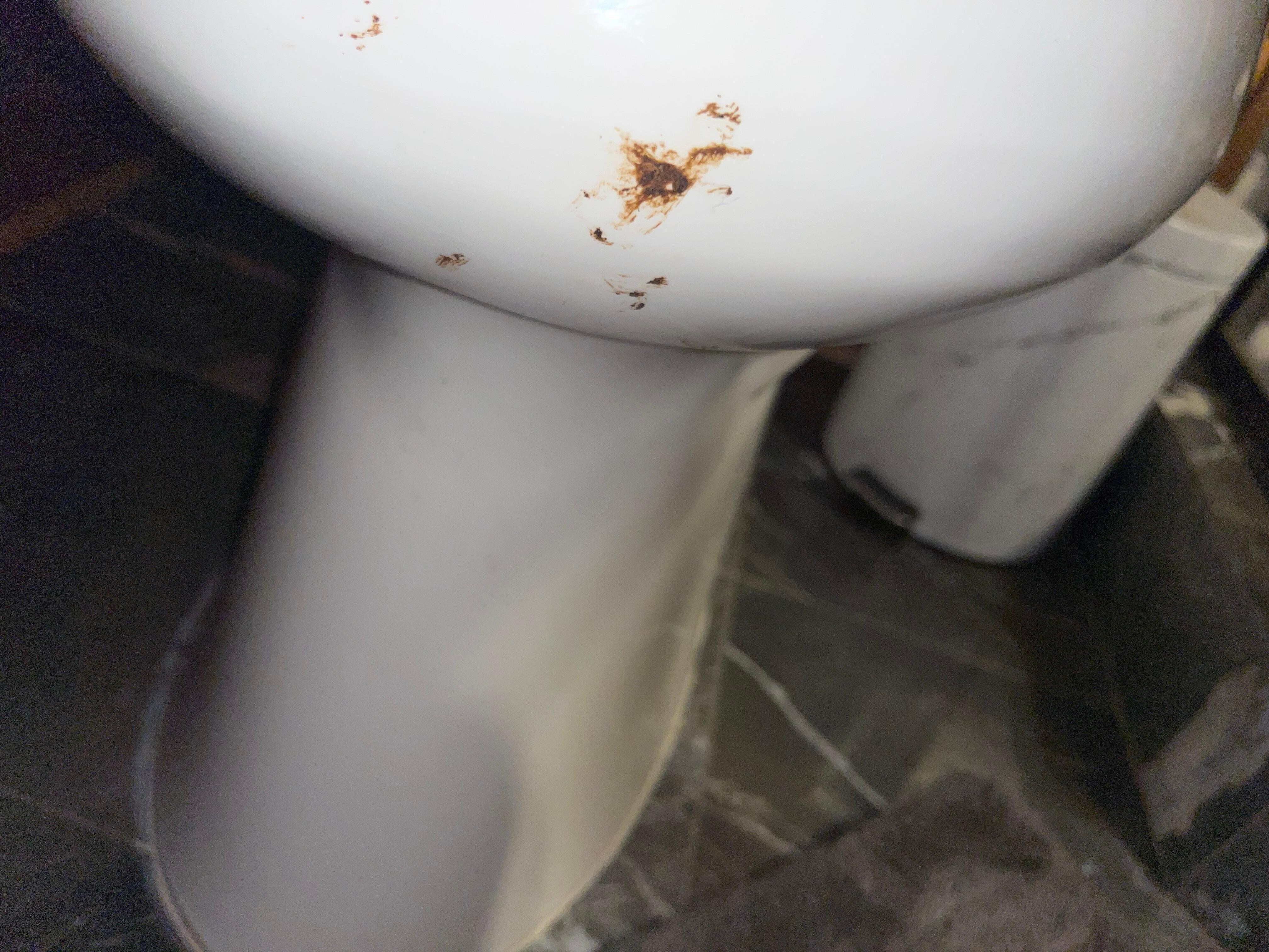 Upstairs toilet