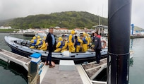 Whale watching in Lajes