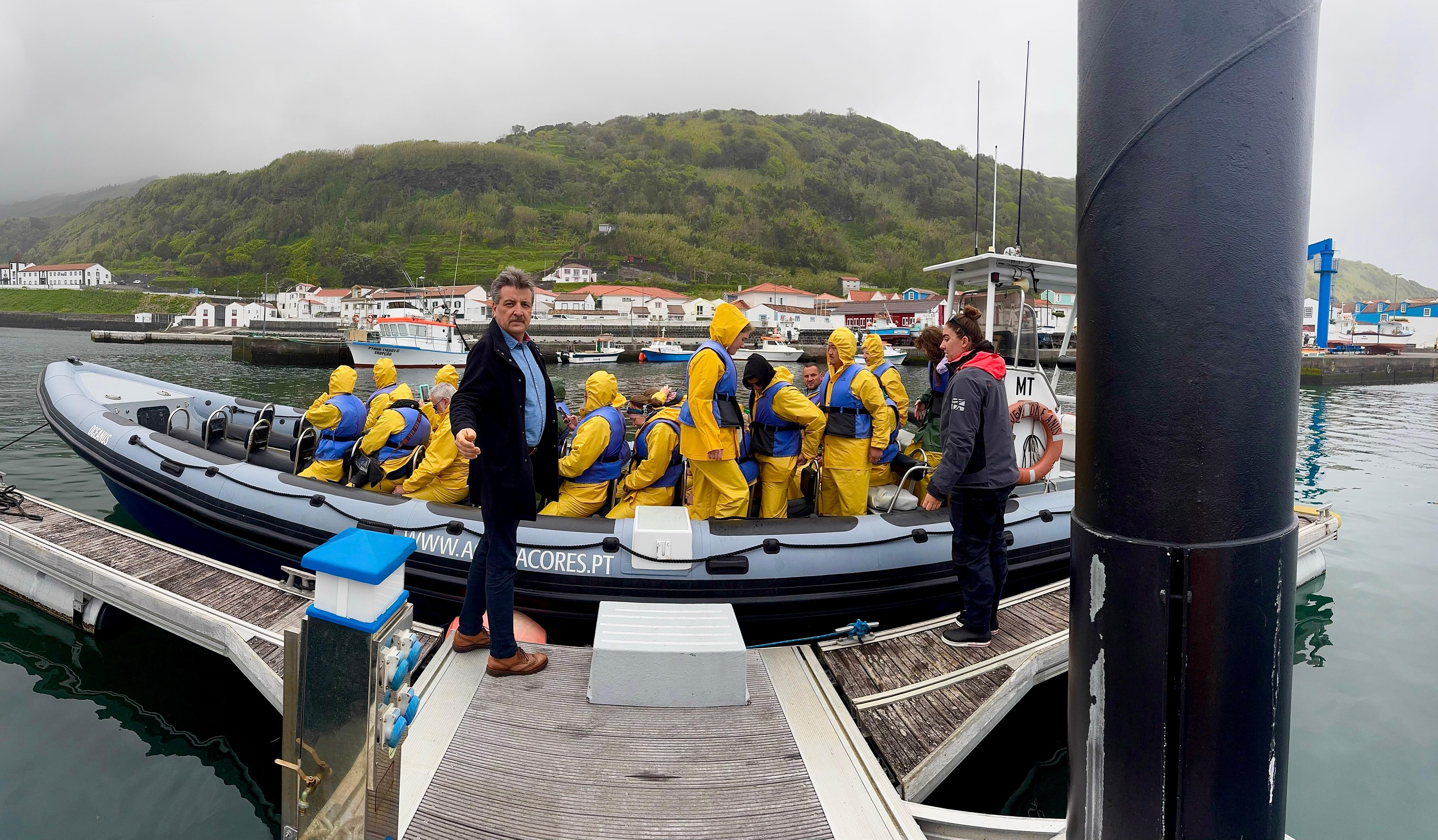 Whale watching in Lajes