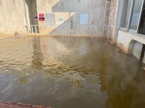 Disari cikan termal havuzu